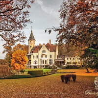 Hotel Bernsteinpalast